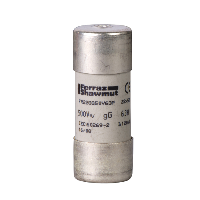 Предохранитель тип gg,размер 22х58.80а.striker Schneider Electric. Вид 1