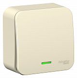 Systeme Electric: BLNVA061102