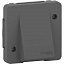 Вывод кабеля IP55 (антрацит) Mureva Styl Schneider Electric. Вид 1.