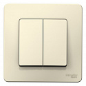 Systeme Electric: BLNVS010502