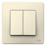 Systeme Electric: BLNVS010502