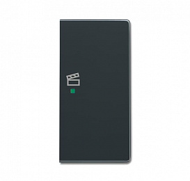 SRS-2-R-81 Клавиша дв. прав., сцена, антрацит ABB. Вид 1