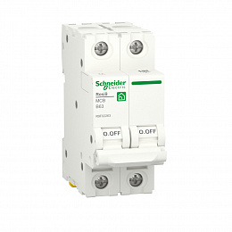 Автоматический выключатель 2-полюсный (АВ) B 63А 6кA Schneider Electric. Вид 1
