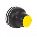 Schneider Electric: XACB9215