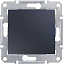 Выключатель кнопочный, 2-полюсный, IP44, сх. 2, 10а, 250В (графит) Sedna Schneider Electric. Вид 1.