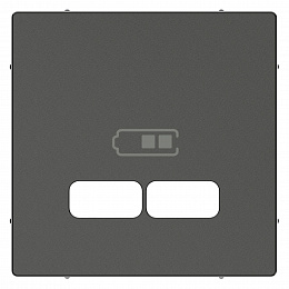Центральная Накладка для USB Механизма 2,1а, sm (антрацит) Merten Schneider Electric. Вид 1