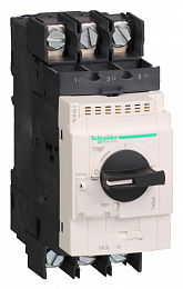Gv3 автомат с магн. расцеп. 65 a с зажимами под кольцевой наконечник Schneider Electric. Вид 1