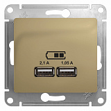Systeme Electric: GSL000433