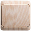 Systeme Electric: BA10-001D