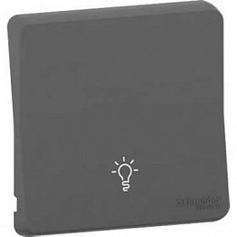Клавиша с символом "свет" IP55 (антрацит) Mureva Styl Schneider Electric. Вид 1