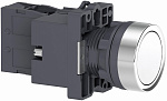 Schneider Electric: XA2EW31B1