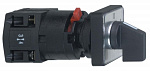 Schneider Electric: K10D004ACH