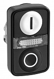 Schneider Electric: ZB4BW7A17217