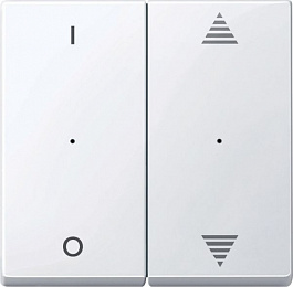 Sm,кл.для мод 2кн.вык, вв/вн,1/0,ак.бел Schneider Electric. Вид 1