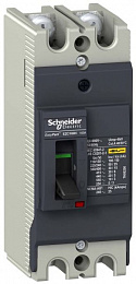 Термо-магнит. 2-полюс. автомат 75А 30kA, подключ. под шину Schneider Electric. Вид 1