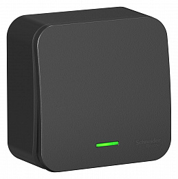 Выключатель 1-клавишный, О/У, (cх.1) с подсв., 10а, 250b (антрацит) Blanca Systeme Electric. Вид 1
