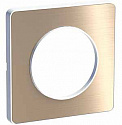 Schneider Electric: S52P802L
