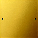 GIRA: G2131606