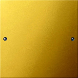 GIRA: G2131606