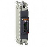 Schneider Electric: EZC100N1100