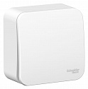 Systeme Electric: BLNVA101011