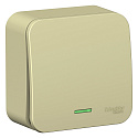 Systeme Electric: BLNVA106117