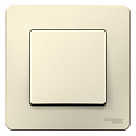 Systeme Electric: BLNVS010102