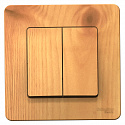 Systeme Electric: BLNVS010505