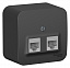 Розетка двойная, О/У компьютерная RJ45, кат.5e, изол.пл. (антрацит) Blanca Systeme Electric. Вид 1.