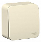 Systeme Electric: BLNVA061012