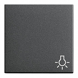 Клавиша (антрацит) System 55 Gira. Вид 1