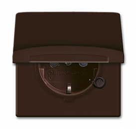 20 EUGKB-31-101 Розетка SCHUKO, 20 EUGKB-31-101, с крышкой, с защитными шторками, Allwetter44, IP44, коричневый, уплотнительное кольцо в комплекте, 1. Вид 1