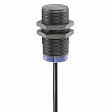 Schneider Electric: XS4P18PA370E1