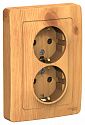 Systeme Electric: BLNRS001025