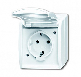 20 EWN-54 Розетка SCHUKO 16А 250В IP44 для открытого монтажа, с полем для надписи, серия ocean, цвет альпийский белый ABB. Вид 1
