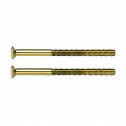 Специальный винт 2 x M3.5 x 50 mm (золотой) TS Berker. Вид 1
