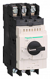 Gv3 автомат с магн. расцеп. 25 a с зажимами под кольцевой наконечник Schneider Electric