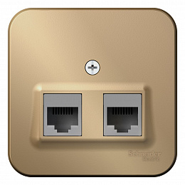 Розетка двойная, О/У компьютерная RJ45, кат.5e, изол.пл. (титан) Blanca Systeme Electric. Вид 1