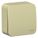 Systeme Electric: BLNCA101017