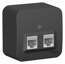 Розетка двойная: RJ45 компьютерная + RJ11 телефонная, изол. пл.,О/У (антрацит) Blanca Systeme Electric. Вид 1