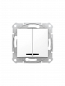 Schneider Electric: SDN0300321