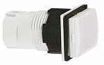 Schneider Electric: ZB6DV0