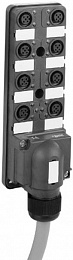 Модуль пассив 8канал m12/кабель 5м свтд Schneider Electric. Вид 1
