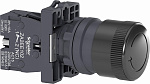 Schneider Electric: XA2ES422
