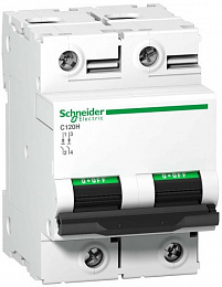 C120H 2P 100A Автоматический выключатель 2-полюсный, 100А, 15кА (хар-ка C) Schneider Electric. Вид 1