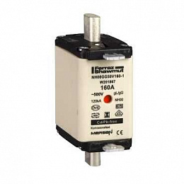 Предохранитель oe gf 50a Schneider Electric. Вид 1