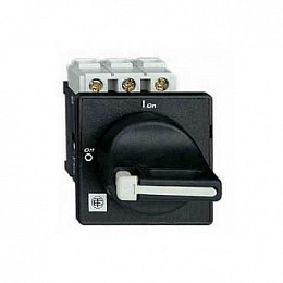 Главный выключатель-разъединитель для установки на дверце 32А Schneider Electric. Вид 1