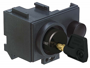 1 замок profalux 215471 одинаков. ключ Schneider Electric. Вид 1