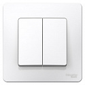Systeme Electric: BLNVS006501