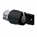 Schneider Electric: ZB4BG37